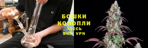 PSILOCYBIN Аркадак