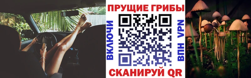 Псилоцибиновые грибы Cubensis  Бирск 